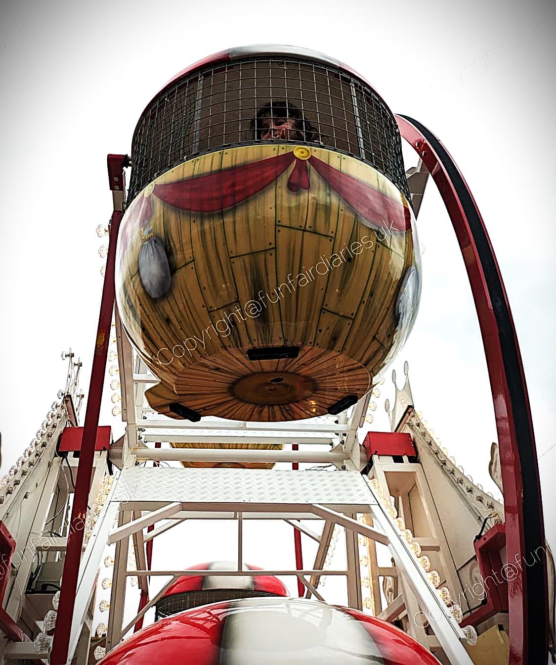 Juvenile Ferris Wheel